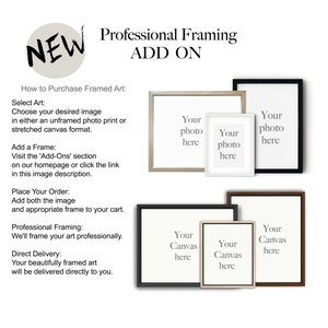a brochure for a professional framing ad on a white background