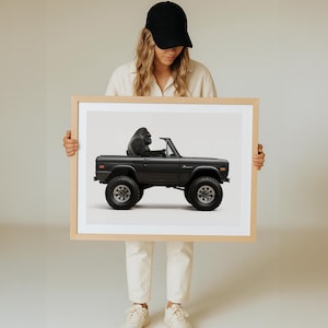 May include: A framed print of a black and white illustration of a gorilla driving a black Ford Bronco.