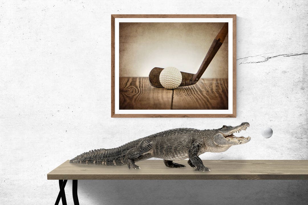 Vintage Golf Club and Ball Photo Print Decorating Ideas Wall - Etsy