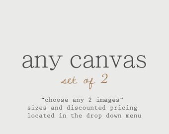 Discounted Set Customize Any Set of 2 Canvas