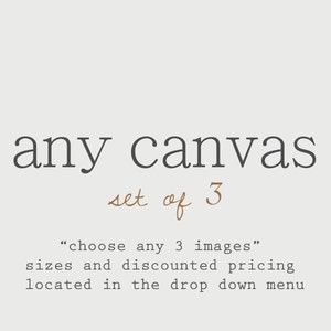 May include: Text that reads "any canvas set of 3" in brown cursive font. Below the text is a description that reads "choose any 3 images" sizes and discounted pricing located in the drop down menu.