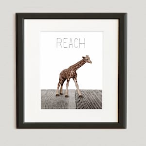 Safari Nursery Wall Art Prints, African Animals - Children Room Home Decor, Baby Giraffe Photo Print