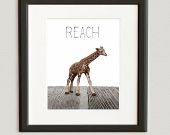 Safari Nursery Wall Art Prints, African Animals - Children Room Home Decor, Baby Giraffe Photo Print