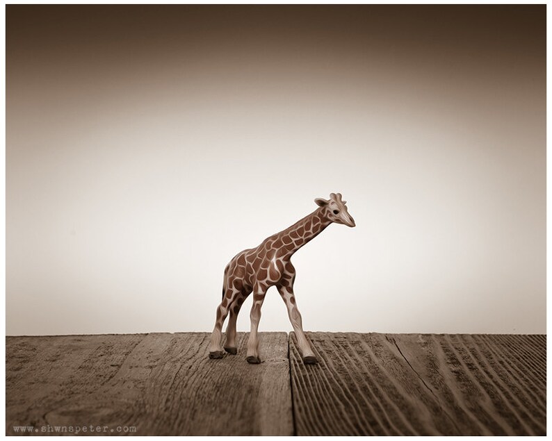 Nursery Decor Baby Animal Art Baby Room Ideas Safari Etsy