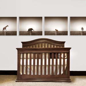 Nursery Decor, Baby animal art, Baby room ideas, Safari animals, Baby Zebra One Photo Print image 3