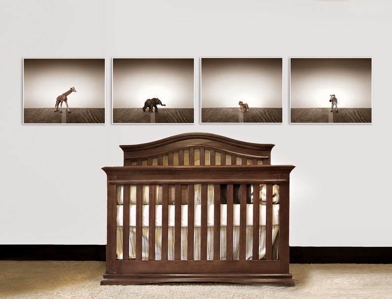 Nursery Decor, Baby animal art, Baby room ideas, Safari animals, Baby Zebra One Photo Print image 3