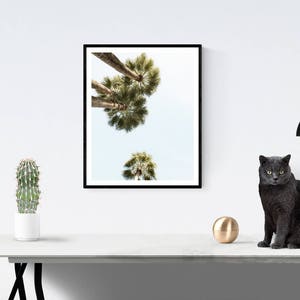 Palm Trees Above Fine Art Photograph, Desert Art , Palm Tree Print, Wall Decor, Wall Art, Gift Ideas, Home Decor, Photography