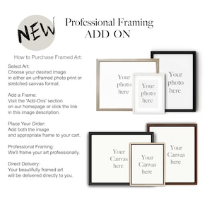 a brochure for a professional framing ad on a white background