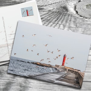 Vuurtoren, postkaart Oostzee, zeemeeuwpostkaart voor fans van postcrossing en postzegels
