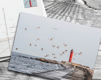 Lighthouse, Baltic sea postcard, Seagull Post card for Postcrossing and stamp fans