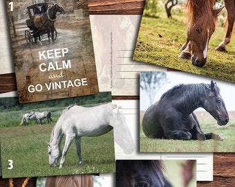 Horses Postcards for Postcrossing fans - Fine Art Photography or Canvas Print