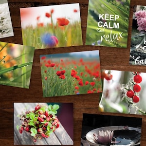 Collection de cartes postales Saisons. Choisissez votre photo d'art préférée pour les fans de Postcrossing