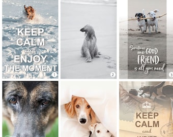 Dogs Postcards collection. Choose your favorite dog Fine Art Photograph for Postcrossing fans