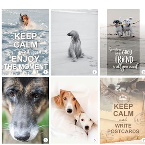Può includere: Una collezione di otto stampe rettangolari con varie immagini di cani. Le stampe includono fotografie di cani sulla neve, in spiaggia e sotto coperte, un'illustrazione di un cane e design testuali con le scritte Keep Calm and Enjoy the Moment, Sometimes one Good Friend is all you need e Keep Calm and Write Postcards.