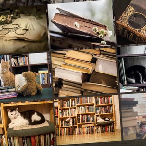 Postkarten SETS Bibliothek BÜCHER. Such dir dein Lieblingsfoto für Postcrossing-Fans aus