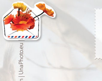 Poppies Mail Stickers Set - Postcrossing, Packing Stickers - 8 Piece