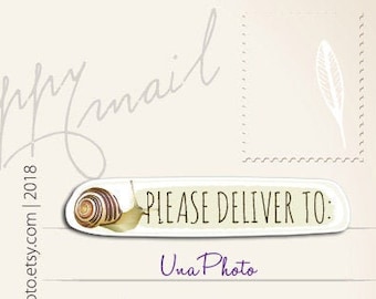 Set van 12 Pleas Deliver to: snail mail envelope stickers voor briefpapier liefhebbers of Postcrossing fans. Weerbestendige sticker