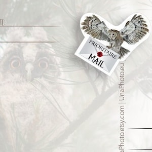 Set of 10 Prioritaire Mail and postcard stickers. Flying Owl with envelope for Postcrossing fans