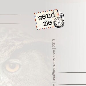 Set de 19 pegatinas SEND ME con sobre y reloj vintage. Pegatinas de postales para los fans del Postcrossing. Embalaje de pegatina para portátil resistente a la intemperie