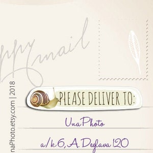 Juego de 12 Súplicas Entrega a: pegatinas de sobre de correo de caracol para los amantes de la papelería o los fanáticos del Postcrossing. Pegatina resistente a la intemperie