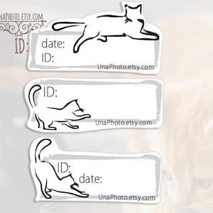 Postkarte ID und DATE Sticker - Katzen für Postcrossing Fans