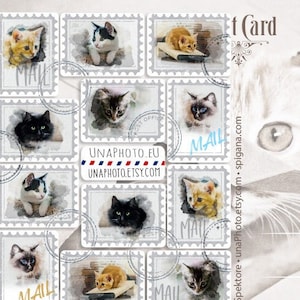 Juego de 12 pegatinas de acuarela con diseño de gato para sobres de correo, ideales para los amantes de la papelería o los fans de Postcrossing. Pegatina resistente a la intemperie.