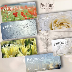 Lot de 12 autocollants fleuris pour carte postale d'identité et DATE pour les amateurs de Postcrossing.