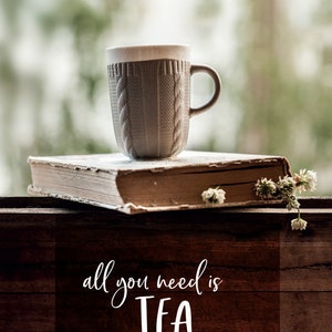 Tutto ciò di cui hai bisogno sono cartoline di tè e libri, cartoline accoglienti per i fan di Postcrossing