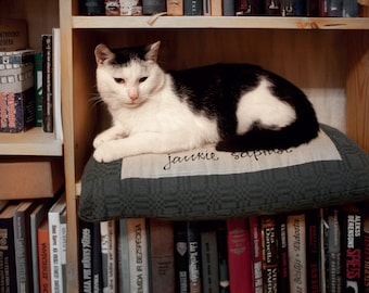 Cat on a bookshelf Postcard for Postcrossing fans  Fine Art Photograph or Canvas Print