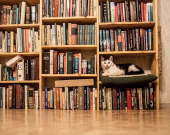 Bookshelf and cat Postcard for Postcrossing fans  Fine Art Photograph or Canvas Print