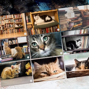 Postkarten Sammlung Katze Postkarten für Postcrossing Fans Fine Art Photographie