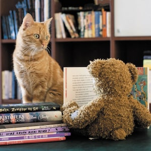 A los gatos les encantan los libros: set de postales para los fans de Postcrossing