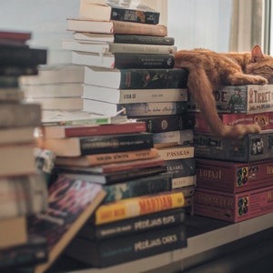 Die Hipster Katze Postkarte für Postcrossing - Fine Art Bücher Fotografie