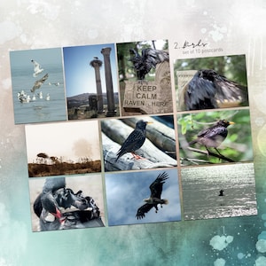 Collection de cartes postales Oiseaux. Choisissez votre photo d'art préférée pour les fans de Postcrossing