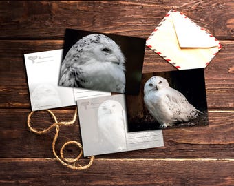 May include: Four postcards featuring snowy owls. The owls are white with black markings. The postcards are blank and ready to be written on.