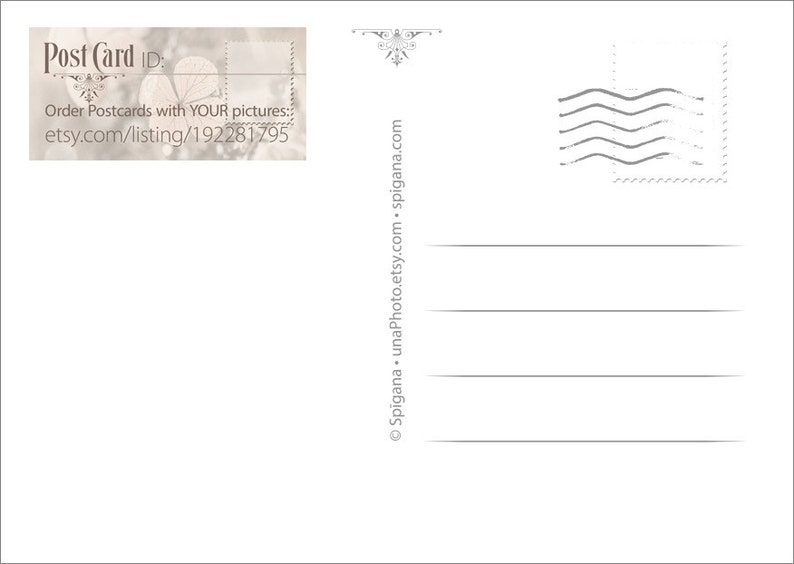 Custom Postcard ID Stickers Postcard Stickers for Mailers or Etsy