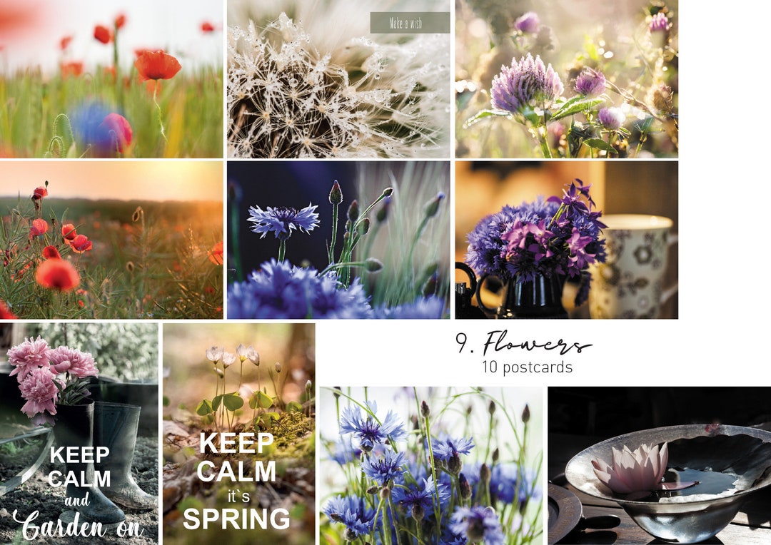 Set of 10 Postcards Collection Seasons, Flowers, Berries. Choose Your ...