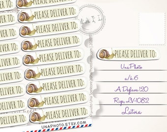 Snail Mail Stickers: Weatherproof Postcard and Envelope Seals for Postcrossing (Set of 12)