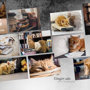 Postkarten SETS Katzen. Such dir dein Lieblingsfoto für Postcrossing-Fans aus