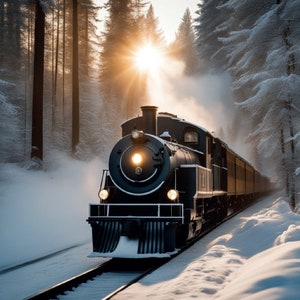 Un tren en un bosque nevado Fotografía de Bellas Artes para Postcrossing