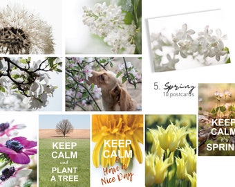 Set of 10 Postcards collection Seasons, Flowers, Berries. Choose your favorite Fine Art Photographs for Postcrossing fans