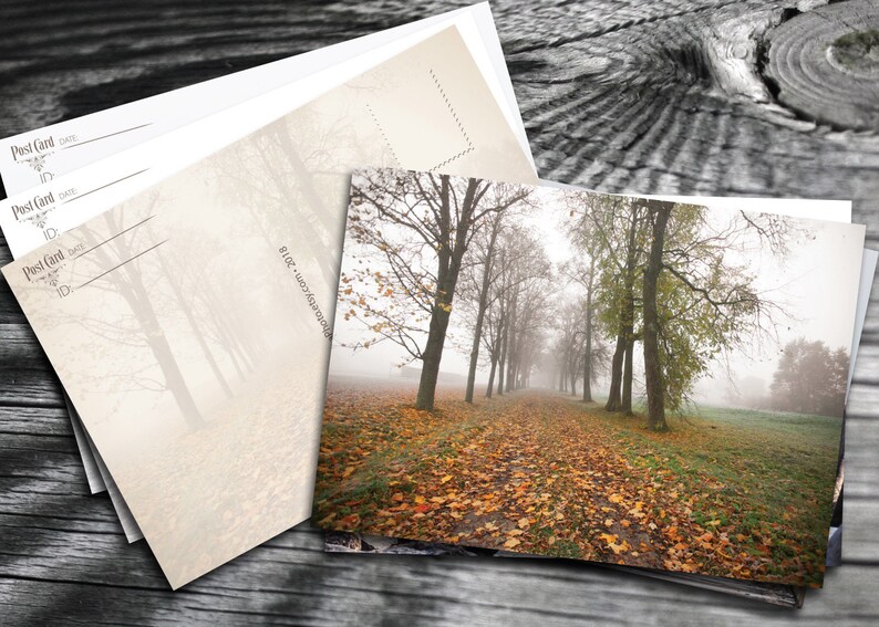 Fine Art trees Photograph or Canvas print Autumn Mist Road Postcards from Postcrossing fans