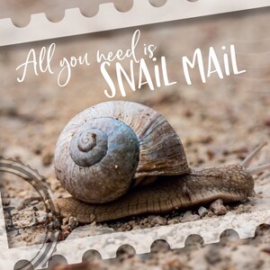 Vous n'avez besoin que d'une carte postale postal pour les fans de Postcrossing