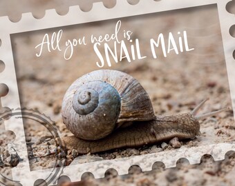 All you need is snail mail  Postcard for Postcrossing fans