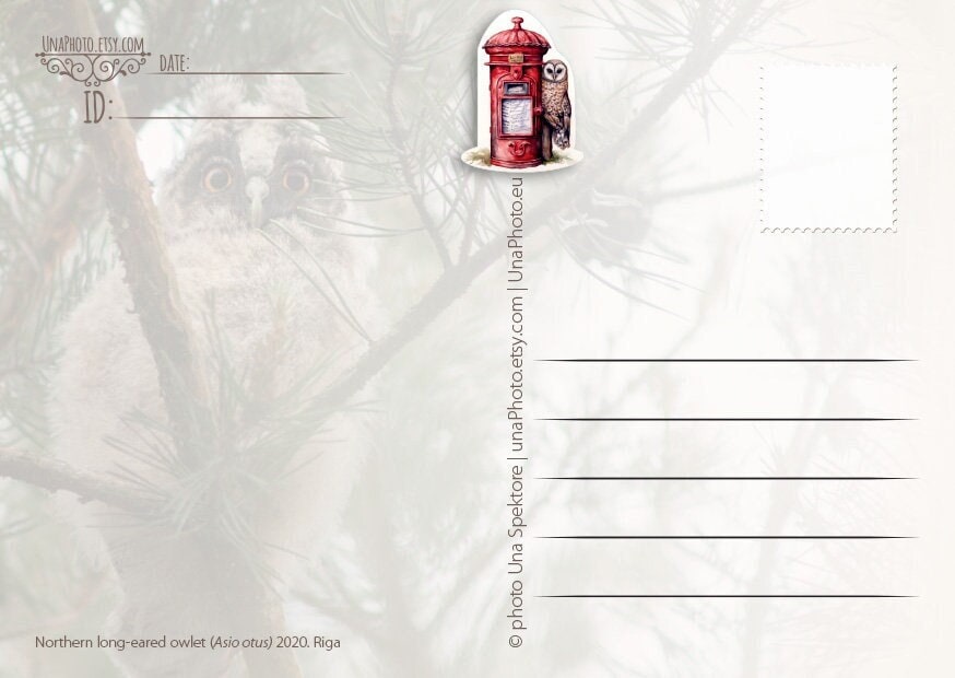 Set of 12 Owl and red Mailbox Prioritaire postcard stickers for Postcrossing fans