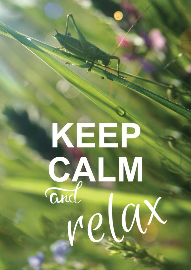 KEEP CALM Postcards Set of 6. Relax. Enjoy the Moment. - Etsy