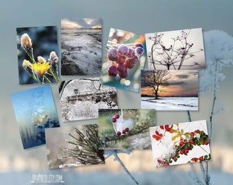 Floral Postcard Set: Fine Art Photography for Postcrossing