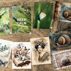 Schmetterlinge, Marienkäfer, Insekten, Schnecken und Spinnennetze Sammelkarten für Postcrosser. Wähle deinen Favoriten.