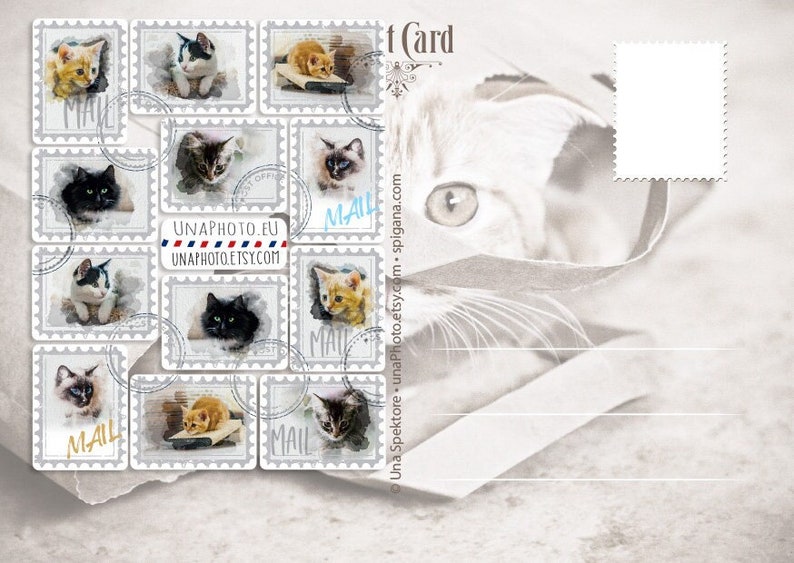 Set van 12 aquarel kattenpost-envelopstickers voor liefhebbers van briefpapier of Postcrossing-fans. Weerbestendige sticker afbeelding 1