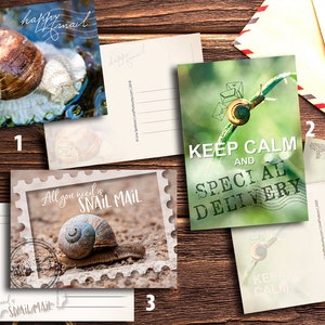 Cartes postales postales pour les traversées (A6) Cartes photo escargots